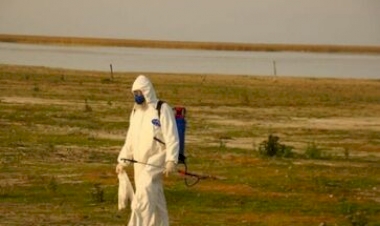 Laudo confirma gripe aviária em ave silvestre encontrada em Rio Pardo