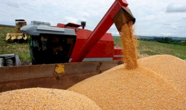 Safra gaúcha: Conab estima produção de 40,18 milhões de toneladas de grãos