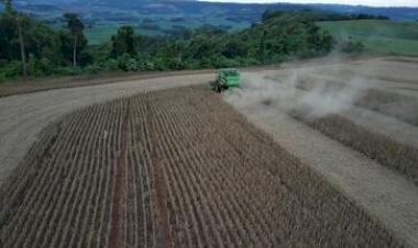 Inicia colheita da soja no RS