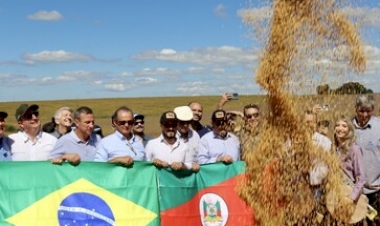 Otimismo marca abertura oficial da colheita da soja no Estado