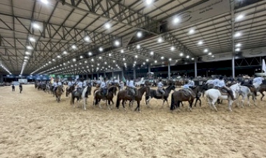 MTG divulga os campeões da 34ª FECARS em Esteio