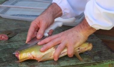 Produtores do Alto Uruguai estão preparados para a Semana Santa