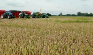 Produtores do RS dão sequência à colheita dos grãos