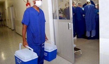 Autorização para doação de órgãos pode ser feita de maneira eletrônica