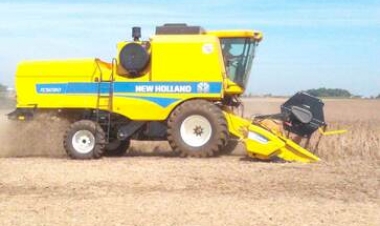 Soja chega ao estágio final do ciclo produtivo e colheita avança no RS