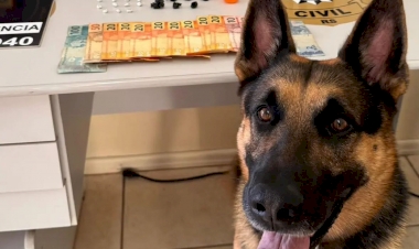 POLÍCIA CIVIL E BRIGADA MILITAR PRENDEM MULHER POR TRÁFICO DE ENTORPECENTES EM ERECHIM 