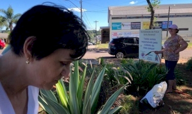 Proliferação do mosquito da dengue é combatida com ações de Aters