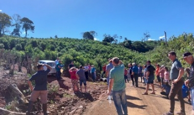 Dia de Campo orienta sobre manejo de ervais na região do Alto Uruguai
