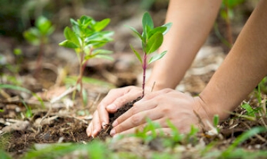 Abre na terça-feira a Semana Alto Uruguai do Meio Ambiente