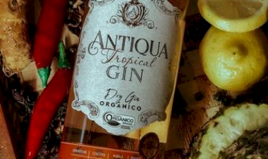 Destilaria gaúcha irá apresentar destilados orgânicos na Bio Brazil Fair|Biofach América Latina e Naturaltech