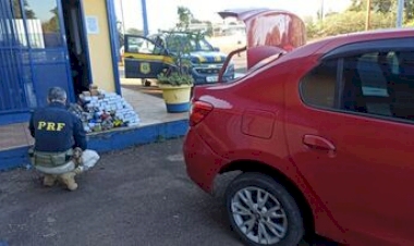 PRF intercepta carregamento de 73 quilos de maconha