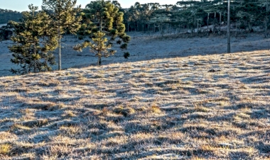 Cidade gaúcha registra 7,3 graus abaixo de zero, menor temperatura dos últimos anos no Estado