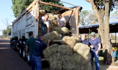 Emater/RS-Ascar mobiliza ações de reconstrução no RS