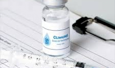 Hepatites Virais : Entenda as principais diferenças entre as hepatites A, B e C