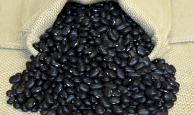 Agricultores familiares podem encaminhar propostas para compra e distribuição de sementes para Conab