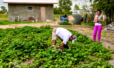 Plano Safra 2024/2025 apresenta novidades para o crédito assistido