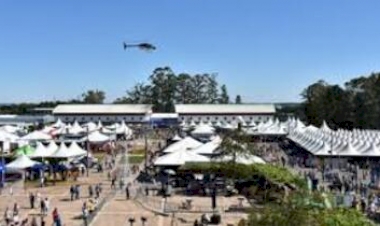 MOMENTO FRINAPE - Vice-presidente da ACCIE fala sobre comercialização