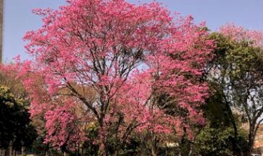 Explosão de cores na URI Erechim