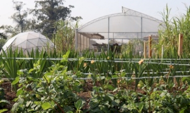 Emater/RS-Ascar conclui preparativos para 47ª Expointer