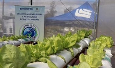 Expointer - Emater/RS-Ascar apresenta técnicas de produção sustentáveis e inovadoras na parcela da Olericultura