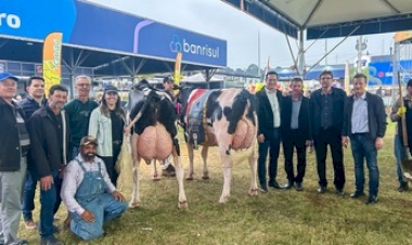 Associados da Cooperativa Santa Clara confirmam excelência com premiações na Expointer