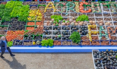 PAA: Conab realiza compra de alimentos da agricultura familiar gaúcha