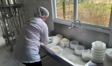 Modo de fazer Queijo Artesanal Serrano é patrimônio cultural imaterial do Rio Grande do Sul