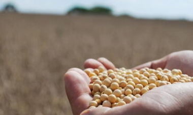 Rio Grande do Sul é o terceiro maior produtor de grãos do país, aponta Conab