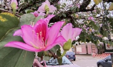 Primavera chega domingo na companhia de La Niña