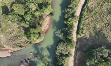Matas ciliares cumprem função de proteção durante enchentes