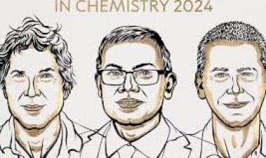 Nobel de Química vai para trio que usa inteligência artificial para decifrar segredos das proteínas