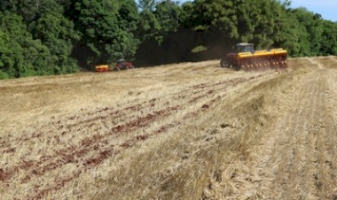 Plantio da soja começa no Rio Grande do Sul