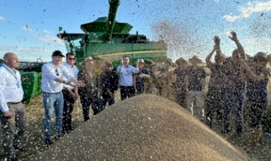 Colheita do trigo no Rio Grande do Sul deve passar de 4 milhões de toneladas