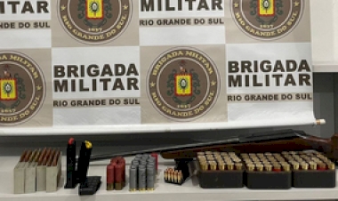 Polícia apreende arma e munições em ocorrência de violência doméstica