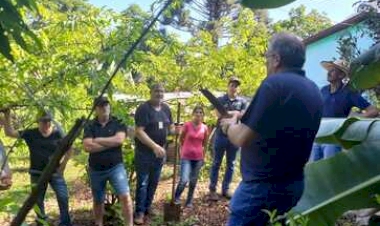 Cultura da banana é debatida em Dia de Campo em Marcelino Ramos