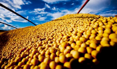 Conab mantém previsão de safra recorde de grãos no Rio Grande do Sul