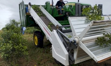 Primeira colhedora de erva-mate no Brasil e os desafios no Alto Uruguai