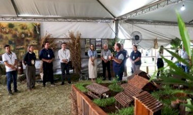 Fenasoja 2024: Caminhos da Soja revelam curiosidades e fatos marcantes da história da agricultura na região de Santa Rosa