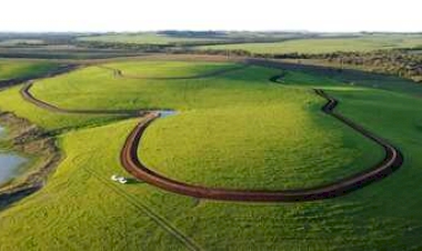 Técnicas de manejo são destaque no Dia Mundial do Solo