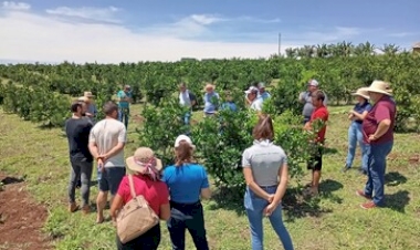 Emater/RS-Ascar capacita produtores de Itatiba do Sul em citricultura