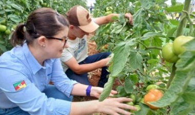 Extensionistas agem com diálogo, dedicação e empatia por um meio rural sustentável e feliz
