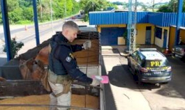 PRF prende motorista de carreta com mais de 100 quilos de cocaína e 100 munições de fuzil