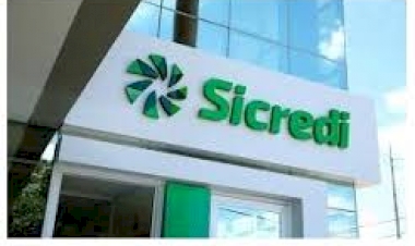 Sicredi é líder nas operações do Pronampe Solidário no RS em 2024