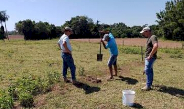Adubação racional é destaque nas técnicas de manejo de solo  