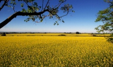 Verão terá redução de chuvas no Rio Grande do Sul