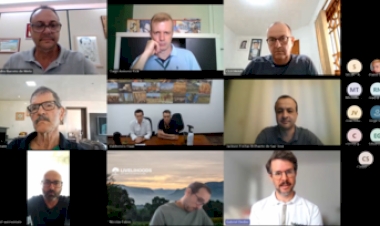 Projeto quer investir no cultivo da erva-mate como gerador de créditos de carbono