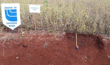 Calagem do solo potencializa produção e lucratividade das lavouras