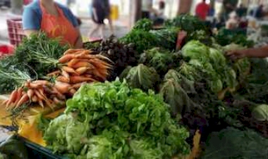 Emater/RS-Ascar oferece alternativas saudáveis para festas de final de ano