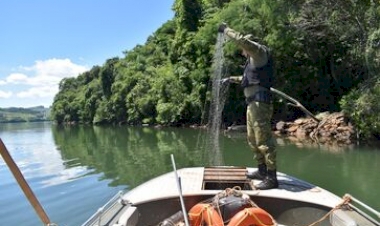 Batalhão Ambiental apreende redes e liberta peixes em Aratiba