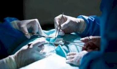 RS teve 1.634 transplantes de órgãos no ano passado, quase 6% a mais que em 2023